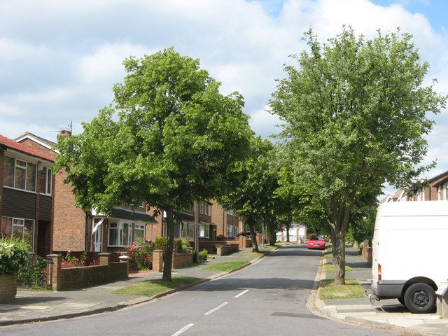 Tree-lined Allendale Road in Billingham with semi-detached houses