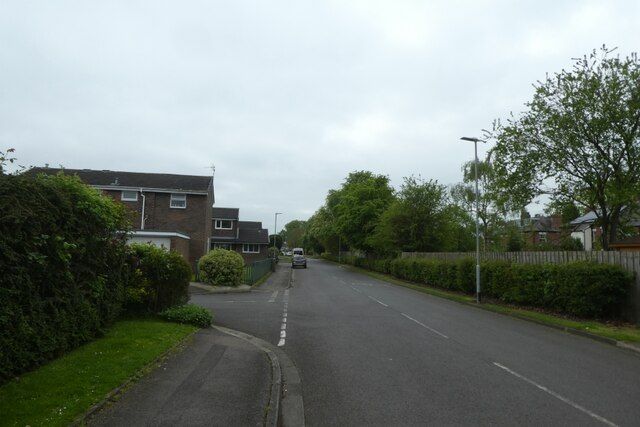 Houses and hedges along Muirfield Road, Eaglescliffe