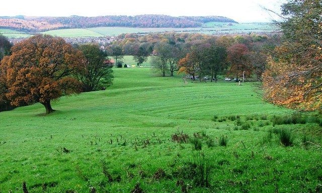 View north from the forest edge over fields towards Guisborough